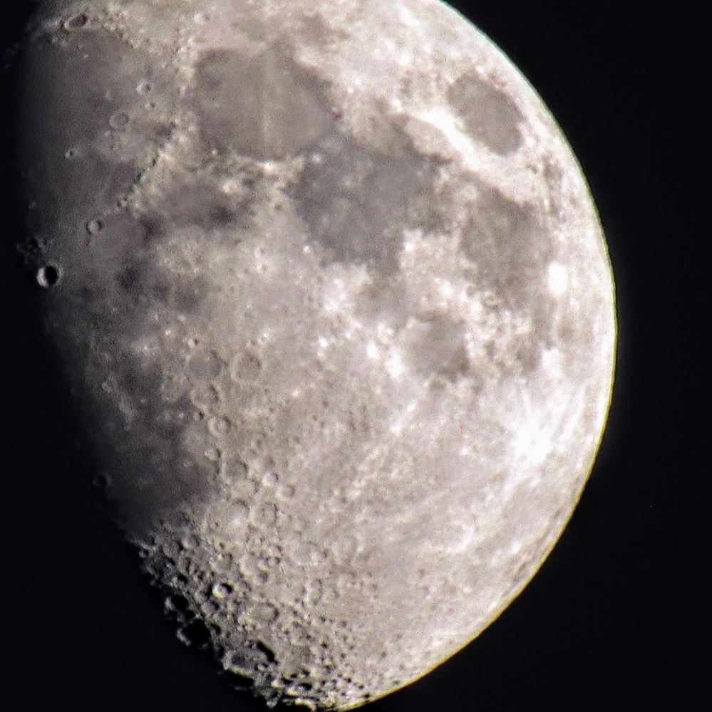 Meet your Poshers, Lisa & Bruce